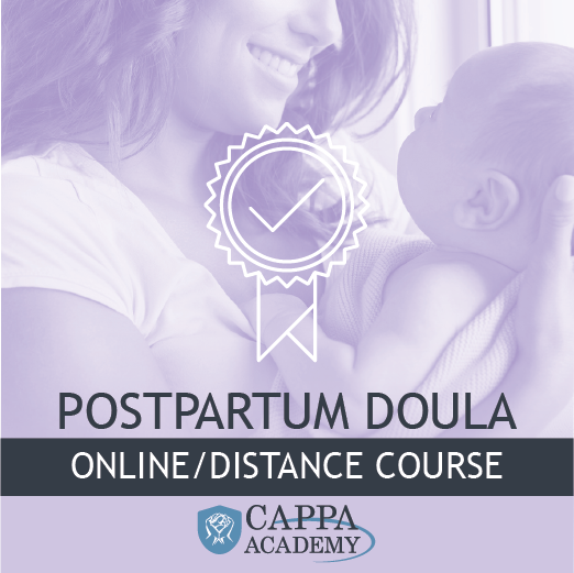 Postpartum Doula - Online/Distance Course
