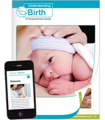 Understanding Birth Booklet