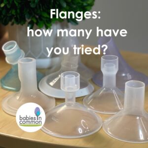 april newsletter 2024 flanges