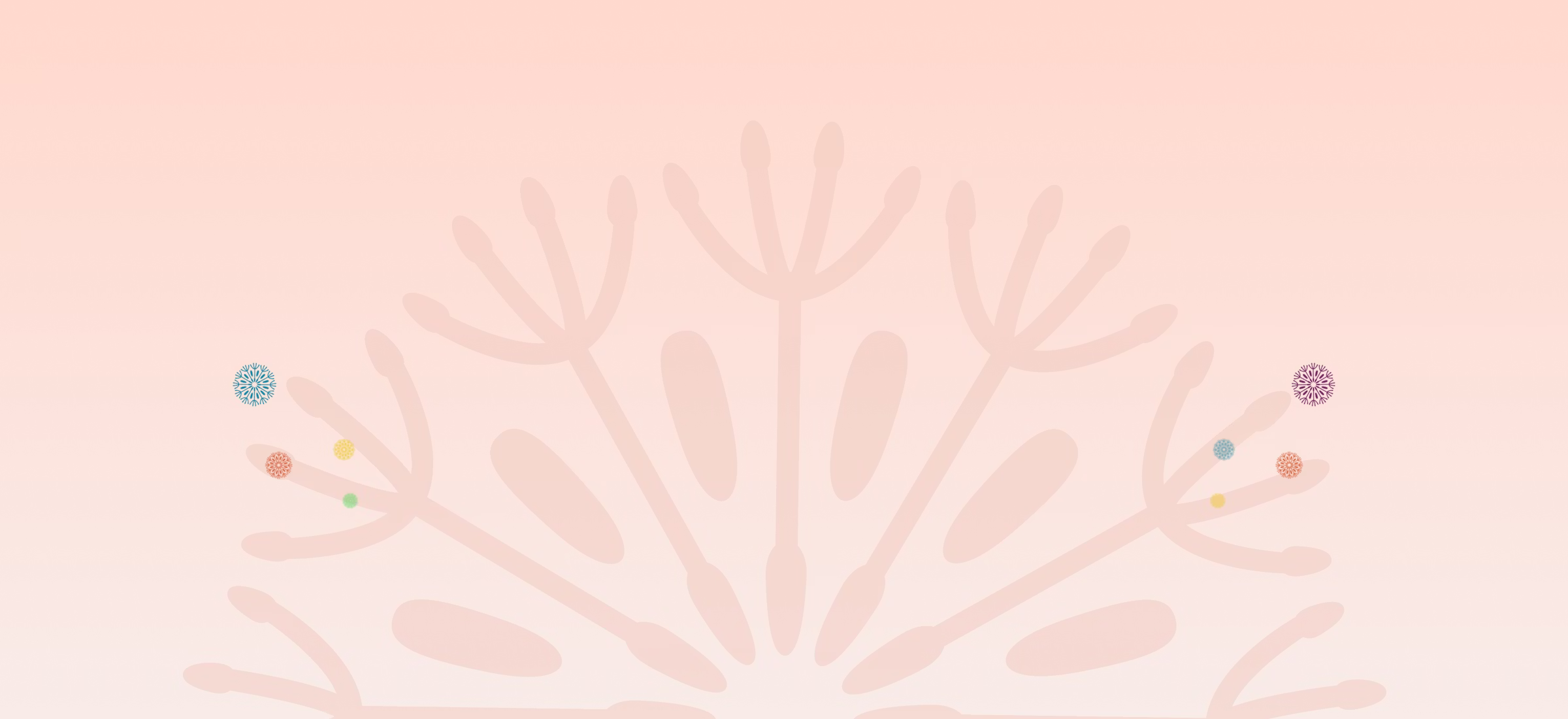 Find a Doula or Educator